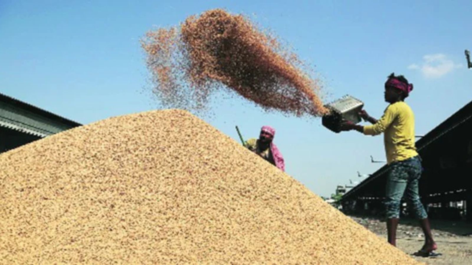 Punjab Committee Urges Centre to Expedite Grain Movement
