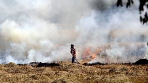 Putting some behind bars will send right message: Supreme Court on stubble burning