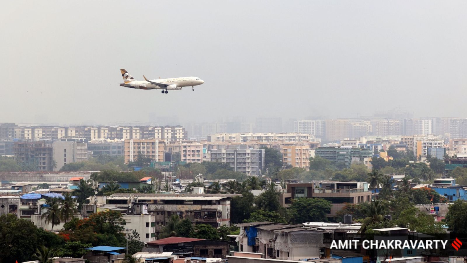 Bird Strikes Pose Continuing Threat to Aviation Safety