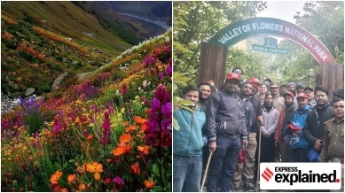 Valley of Flowers