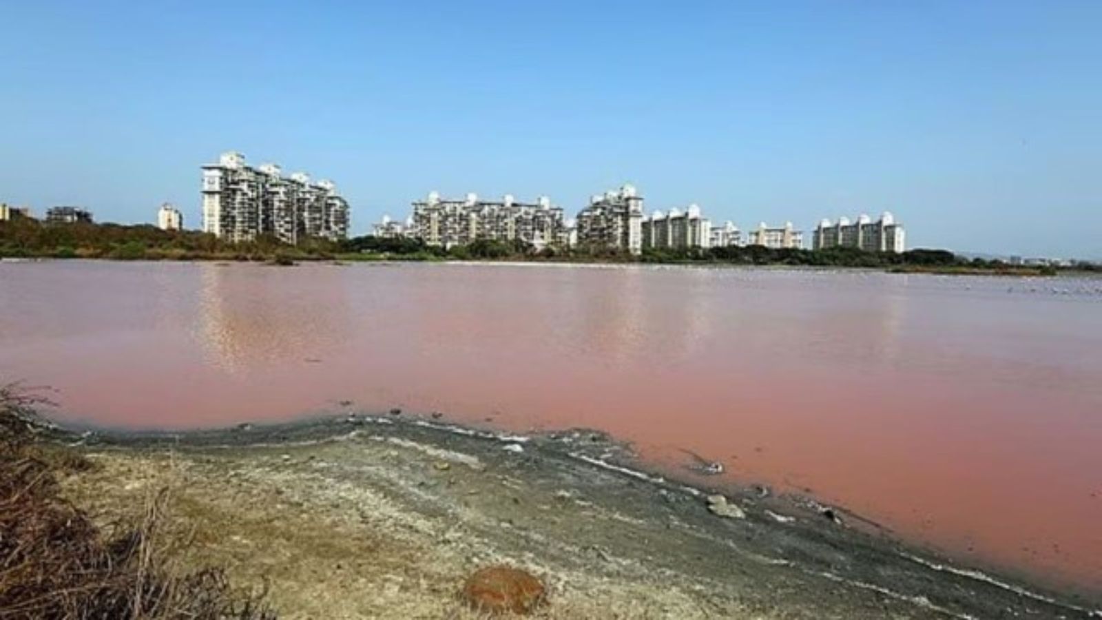 Mumbai's Water Stock Stable, No Cuts Despite Rainfall Forecast