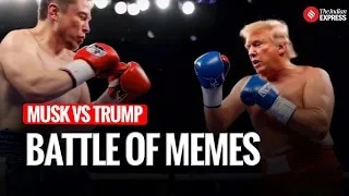 Elon musk vs donald trump online feud turns into viral meme fest as