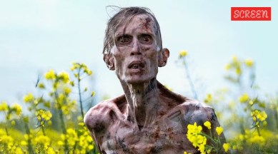 28 YEARS LATER review picl