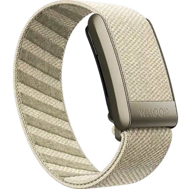The sensor fits into various accessories like arm sleeves or compression wear. (Image: Gadgets 360)
