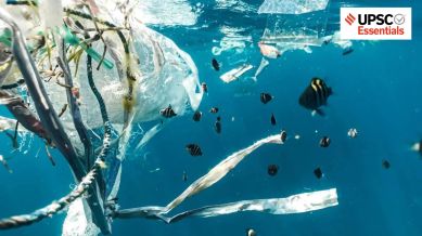 World Ocean Day