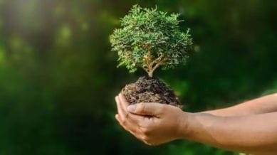 World environment day, environment books, english literature