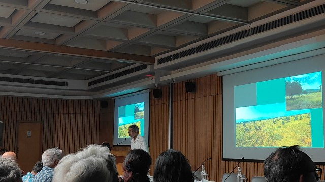 Central Ridge restoration