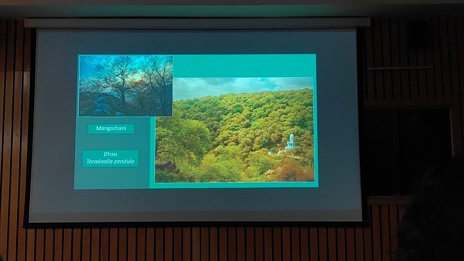 Central Ridge restoration