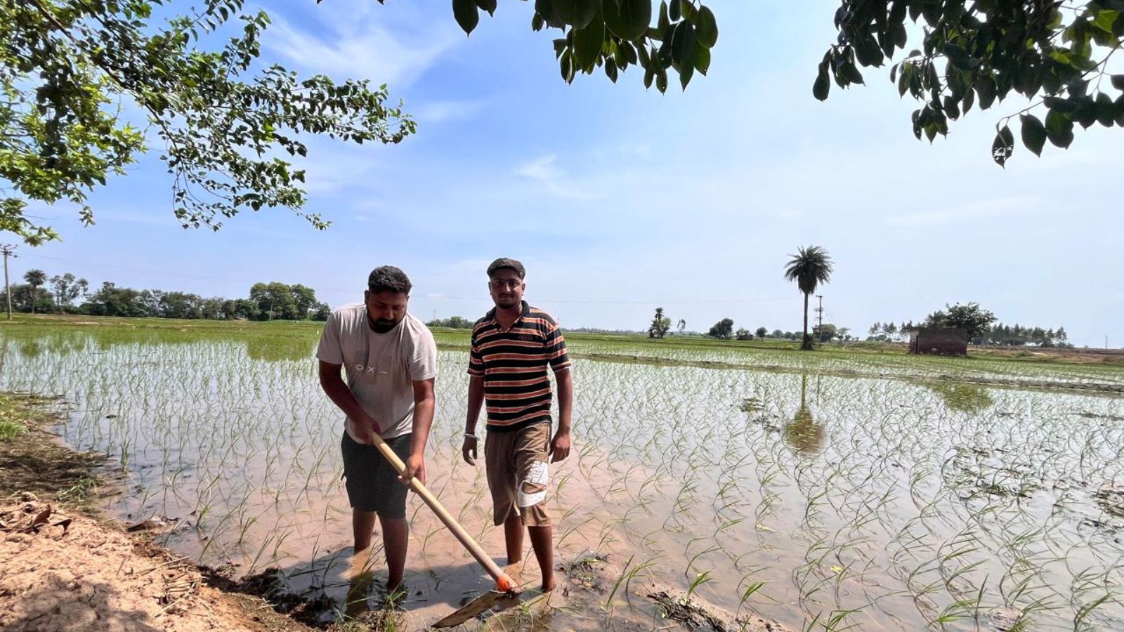 farmers Manjit and Sukhchain Singh from Patton village in their field that has been marked for acquisition. Kanchan Vasdev