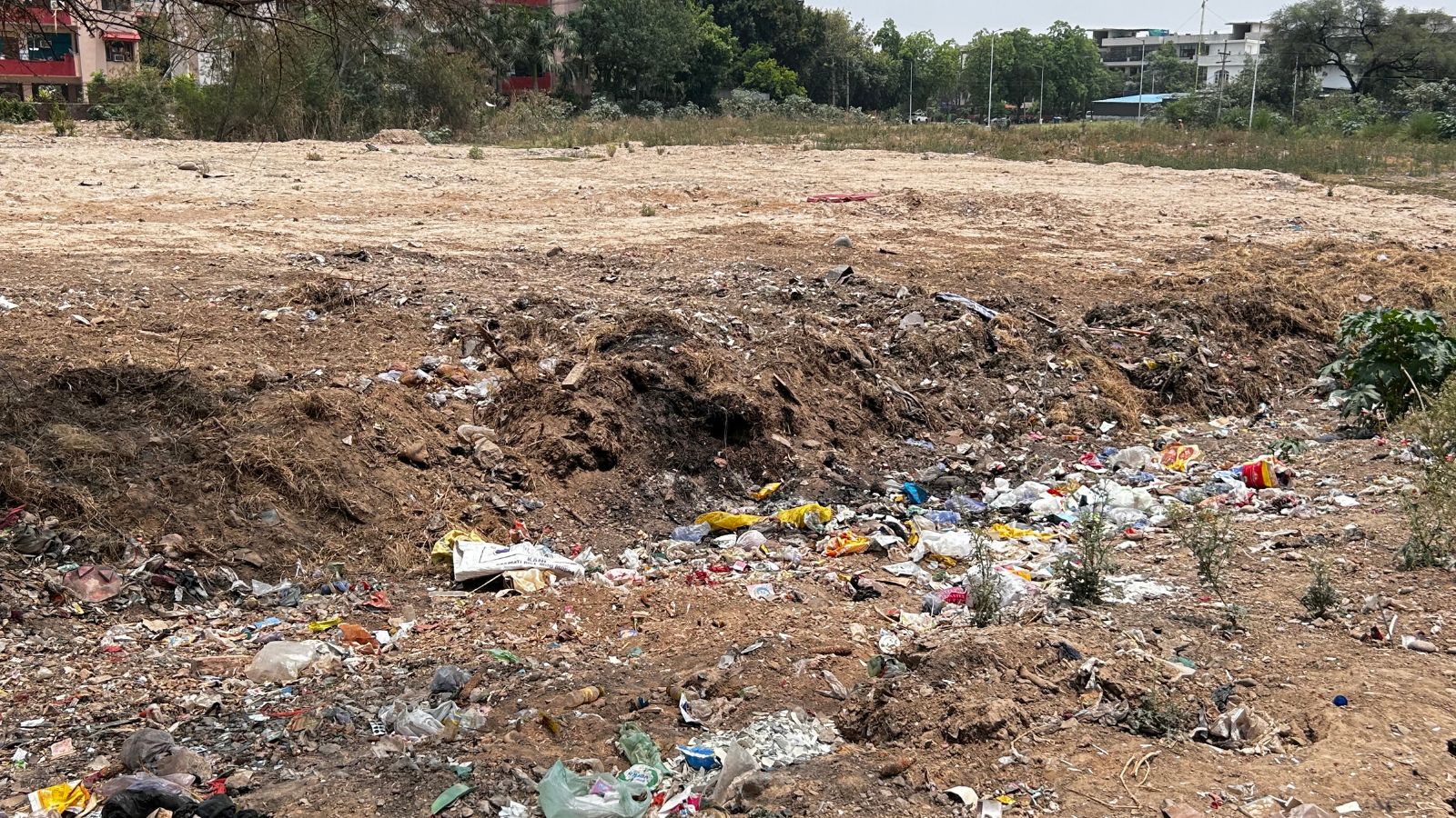 Sewage in taps, garbage on streets: Sector 49C in Chandigarh cries for help