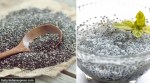 chia sabja seeds