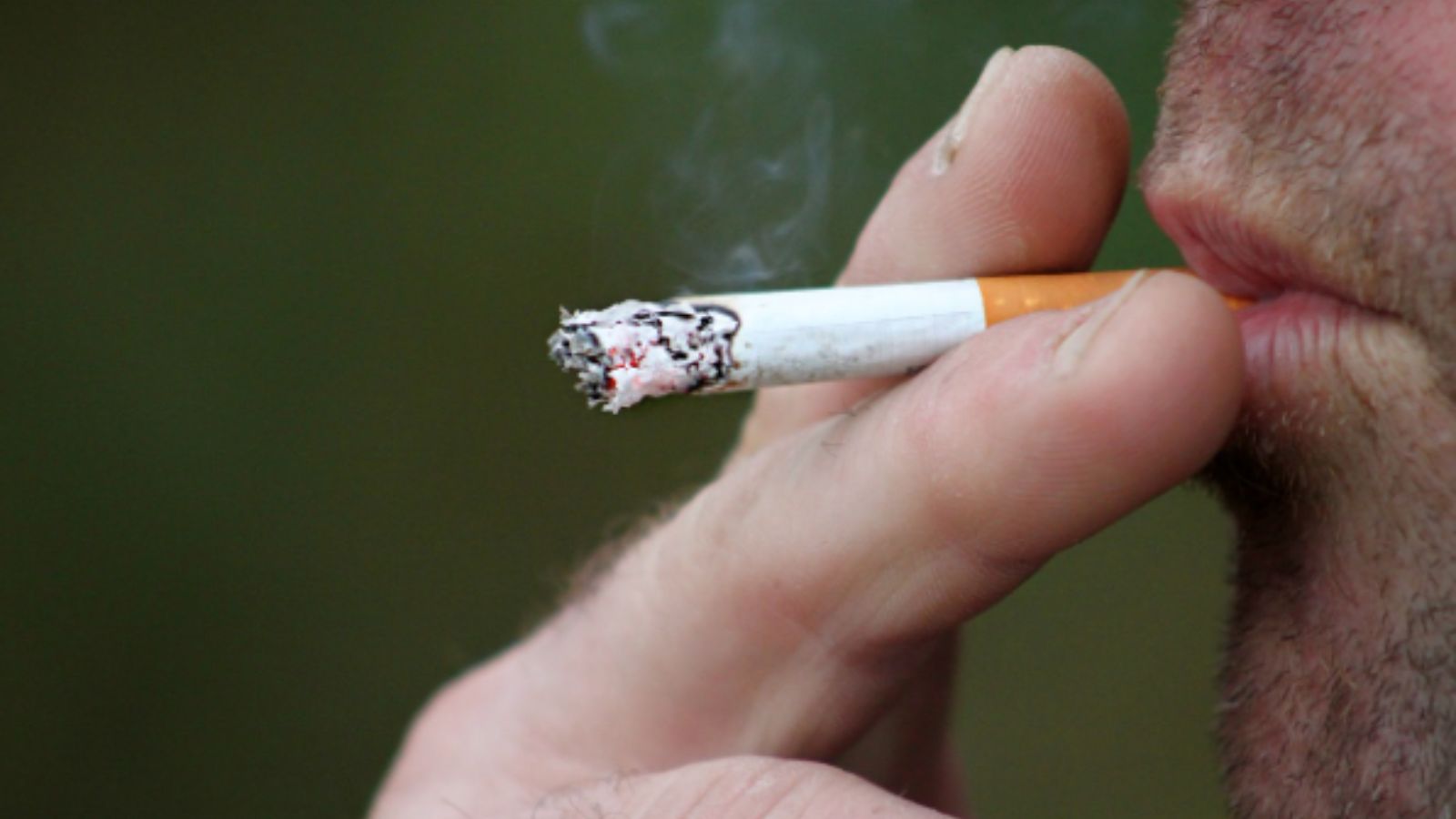 India Recognized for Tobacco Control, WHO Report Highlights Progress
