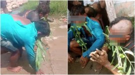 dalit men tonsured in odisha