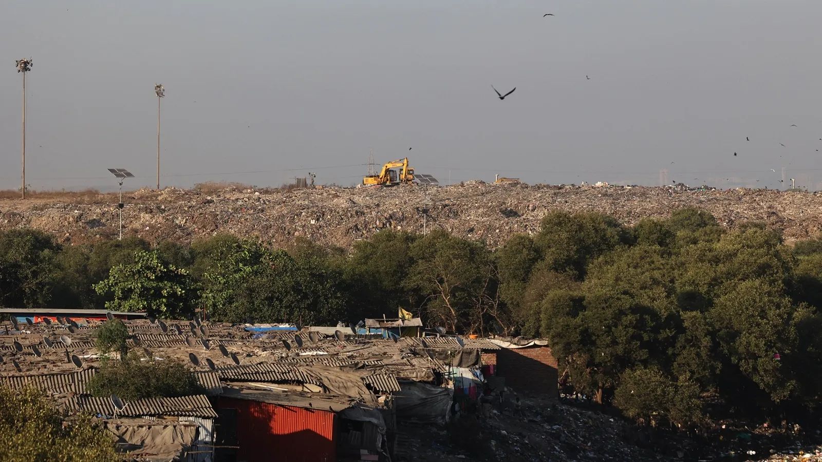 Deonar, Deonar dumping site, toxicology indicators, Dharavi relocation, Dharavi relocation project, Dharavi Redevelopment Project, Dharavi Redevelopment Plan, Mumbai news, Maharashtra news, Indian express, current affairs