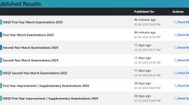DHSE Kerala +1 Results 2025 Out: Plus One results announced; link to be active at 6 PM