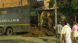 elephant runs amok Ahmedabad, Rath Yatra elephant incident, elephant panic due to loud music, Ahmedabad Rath Yatra 2024,