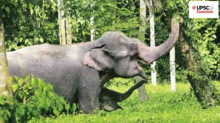 UPSC Essentials | Daily subject-wise quiz : Environment and Geography (Week 116)