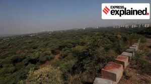 All about the revised Green India Mission to increase forest cover, address climate change