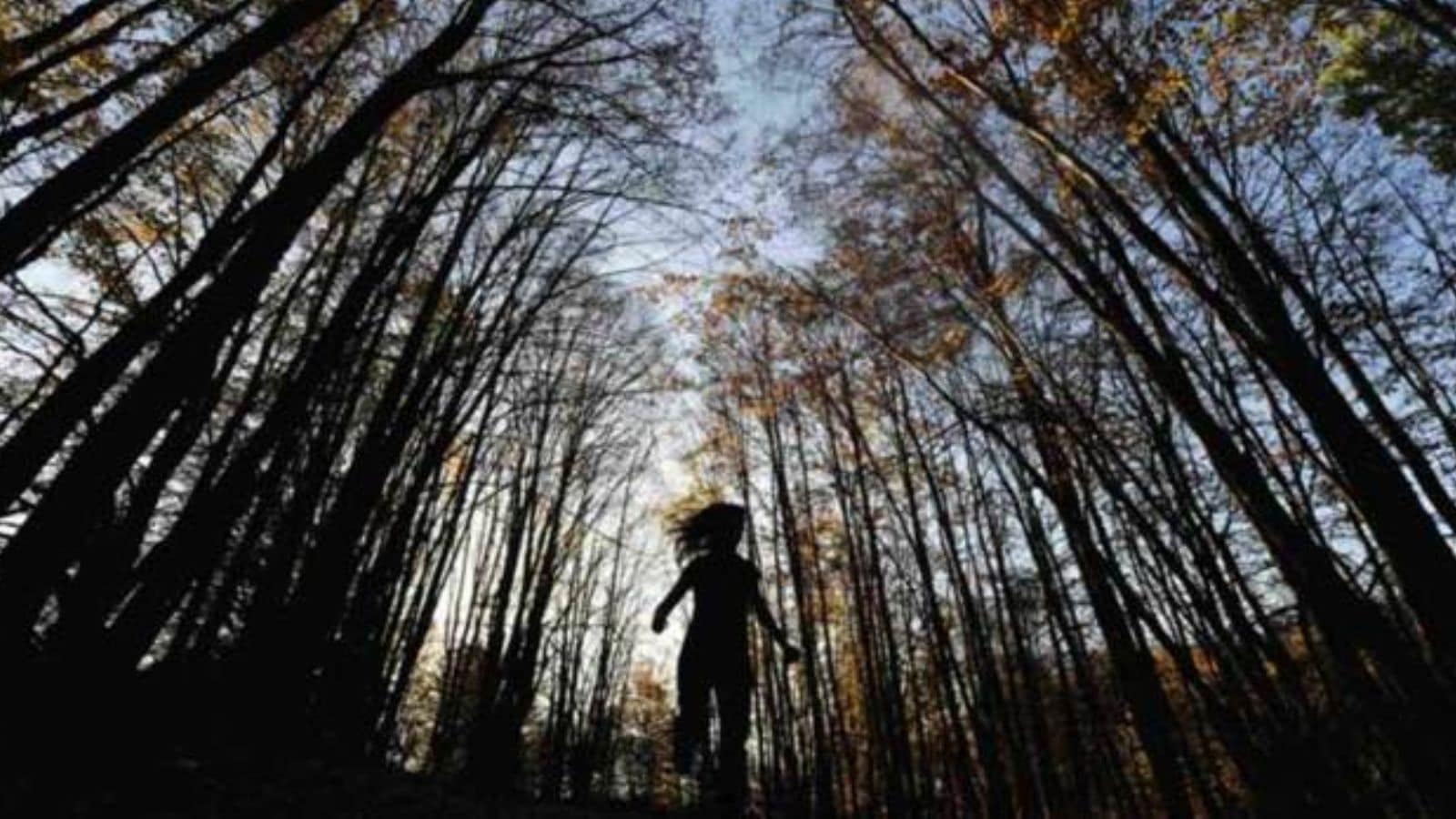 Yoga under a tree? How forest bathing, a Japanese routine, can help ...