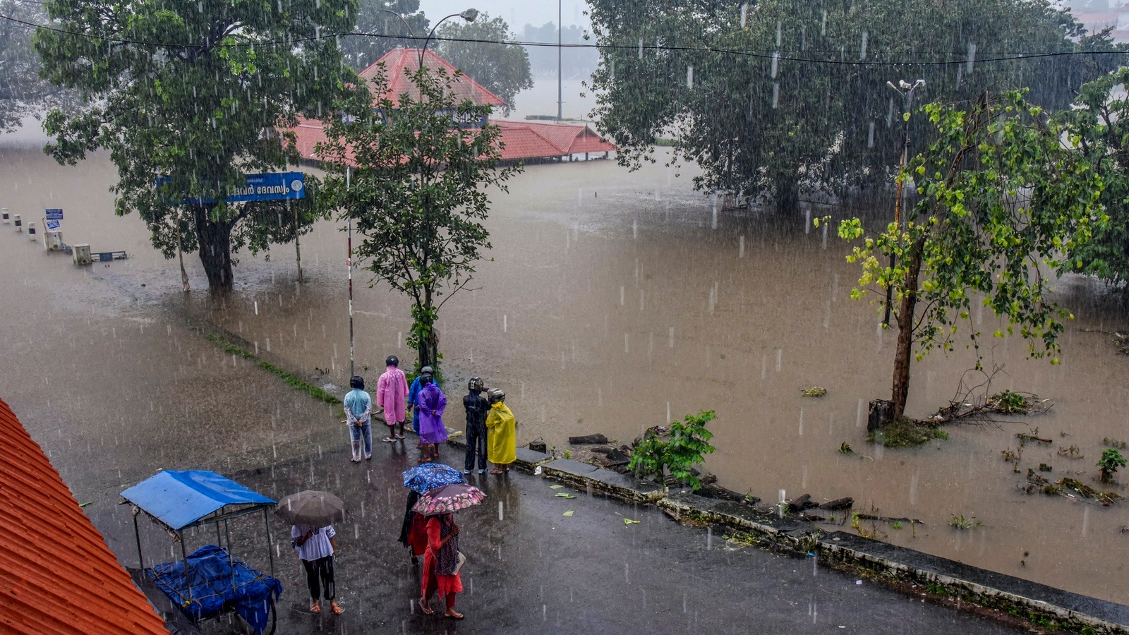 kerala rains