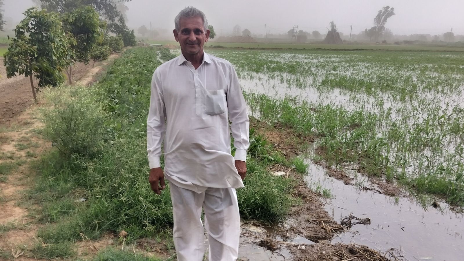 Stubble for mushroom farming, diversification: why this 60-yr-old Haryana farmer stands out