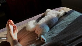 For some, co-sleeping with a pet strengthens the bond and brings emotional benefits