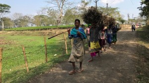 World Inequality Report 2026: India’s growth model is leaving the ‘middle’ behind