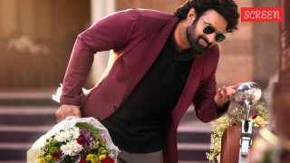 Prabhas's The Raja Saab