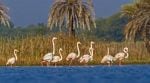 Ramsar Site