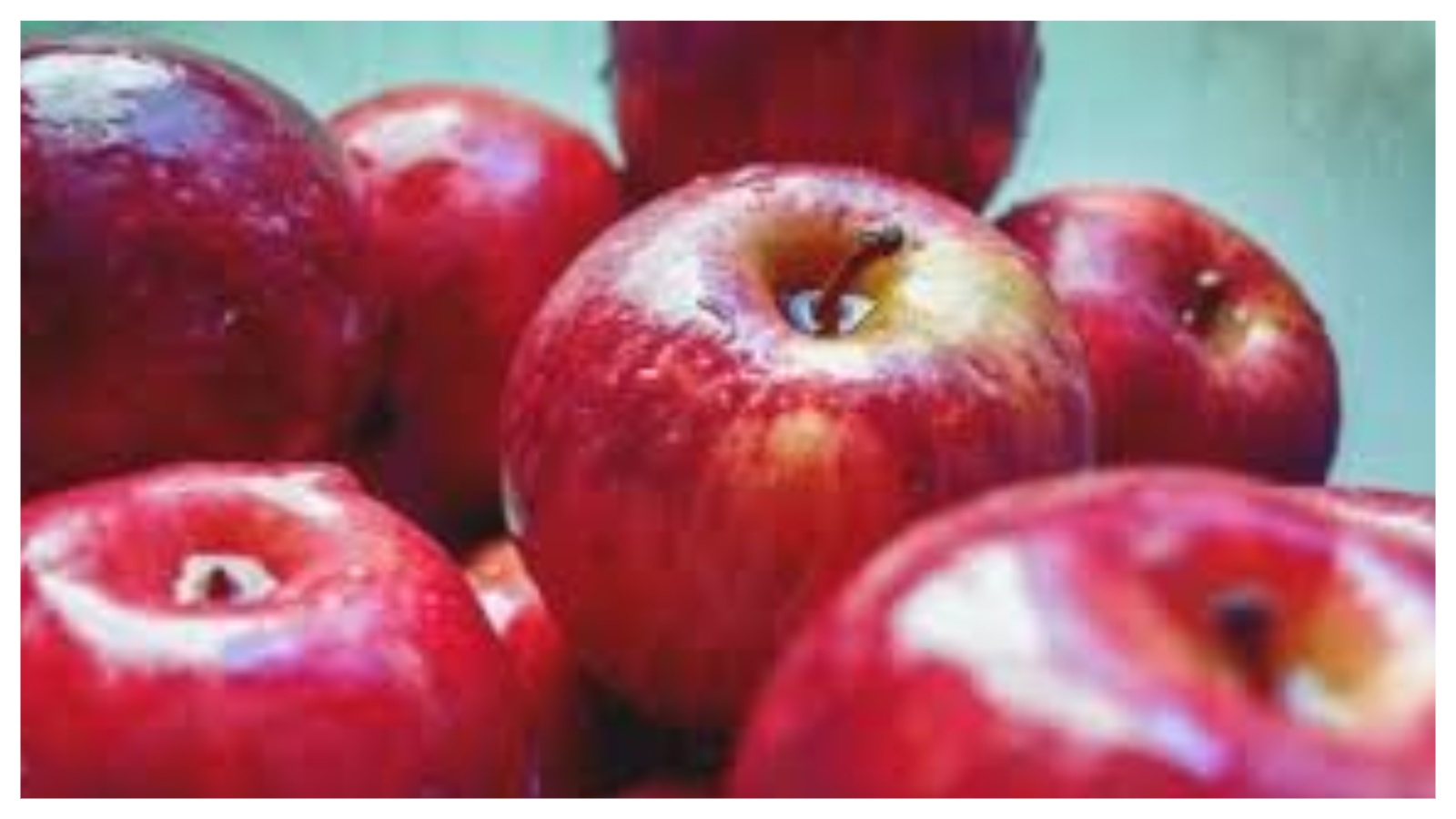 Himachal Pradesh Pauses Apple Box Estimates to Protect Orchardists