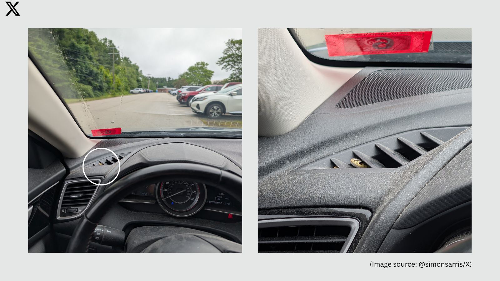 Man Finds Snake in Mazda, Shares Viral Photos, Gets Mazda's Response