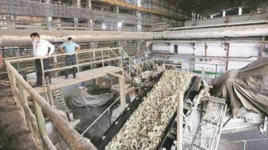 sugar industry