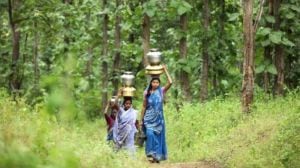 Community forest rights can end Naxalism. Gadchiroli is an example