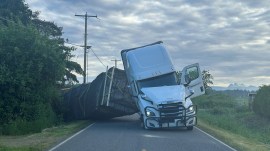 bees, truck overturns, us