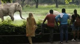 Alipore-zoo-visitors