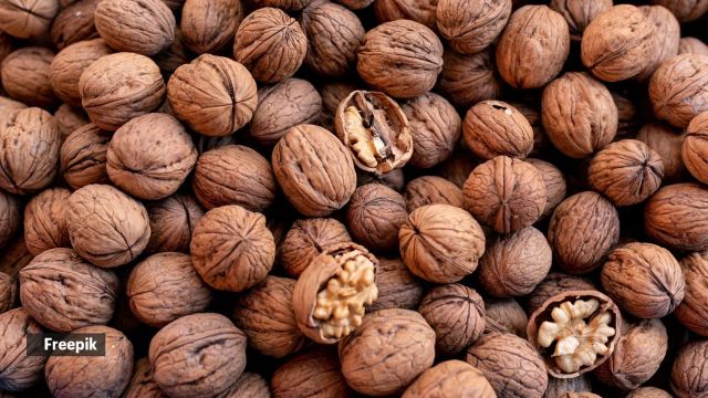 walnuts import duty evasion, Surat man for evading import duty, walnuts imported from Chile, walnuts import duty, Ahmedabad news, Gujarat news, Indian express, current affairs