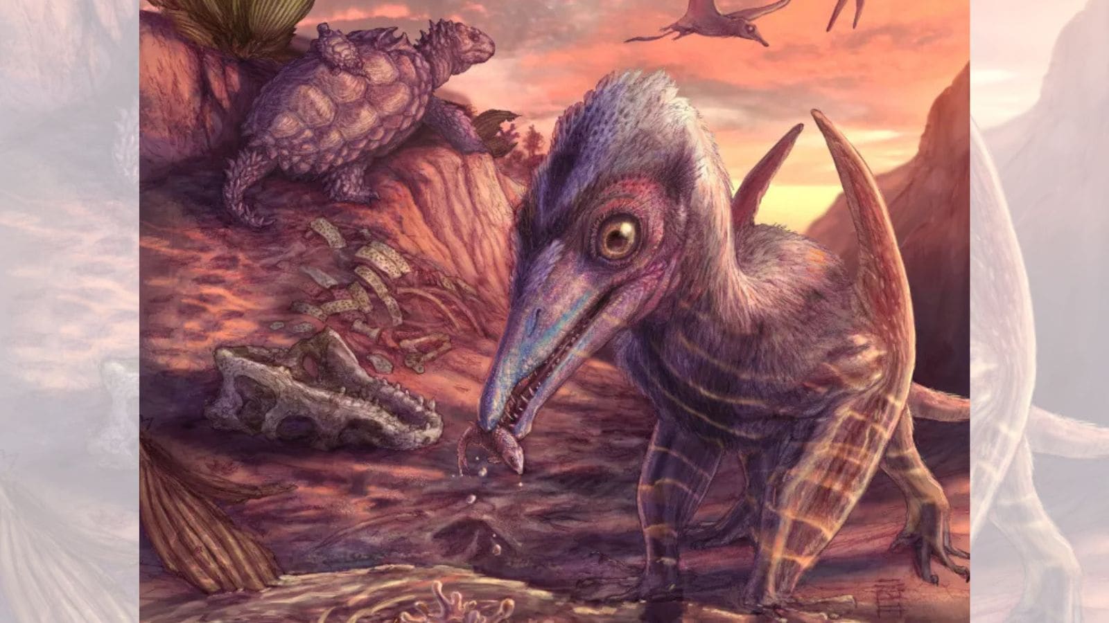 Scientists discover 200-million-year-old flying reptile species