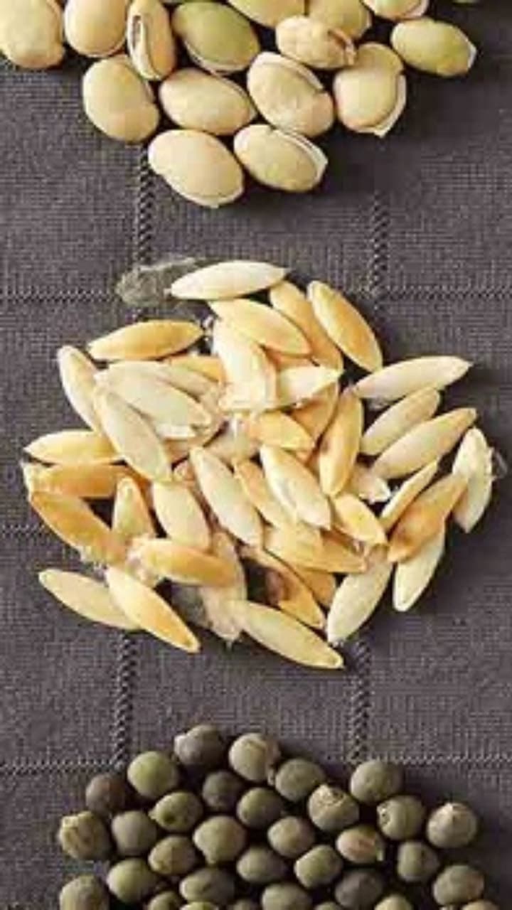 seeds
