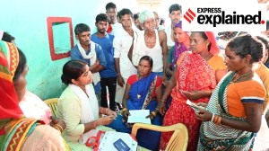 The revision of electoral rolls
