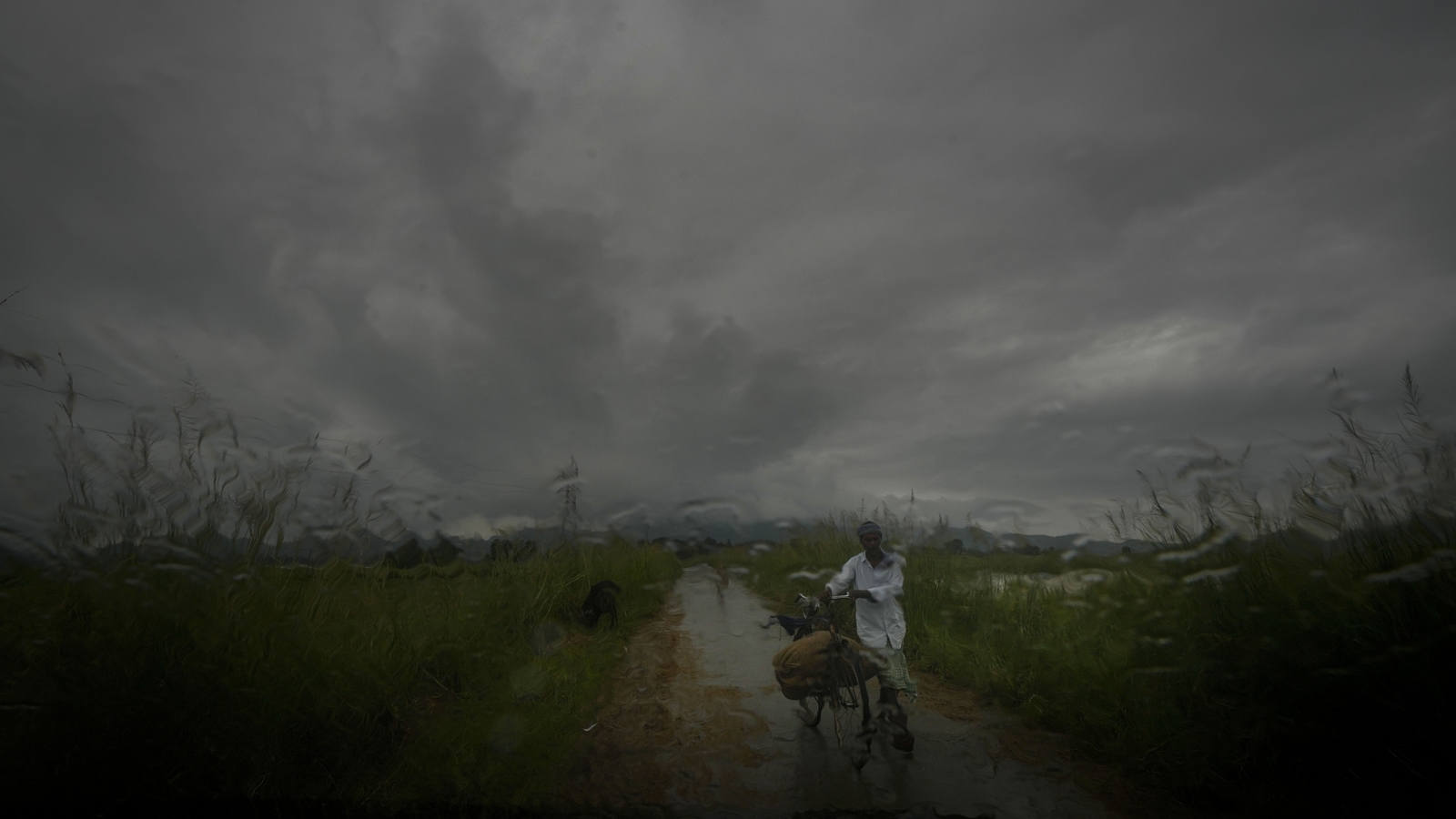 India's Climate Taxonomy Must Include Loss and Damage