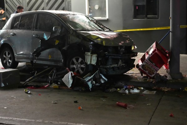Los Angeles Vehicle into Crowd