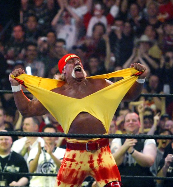 Hulk hogan
