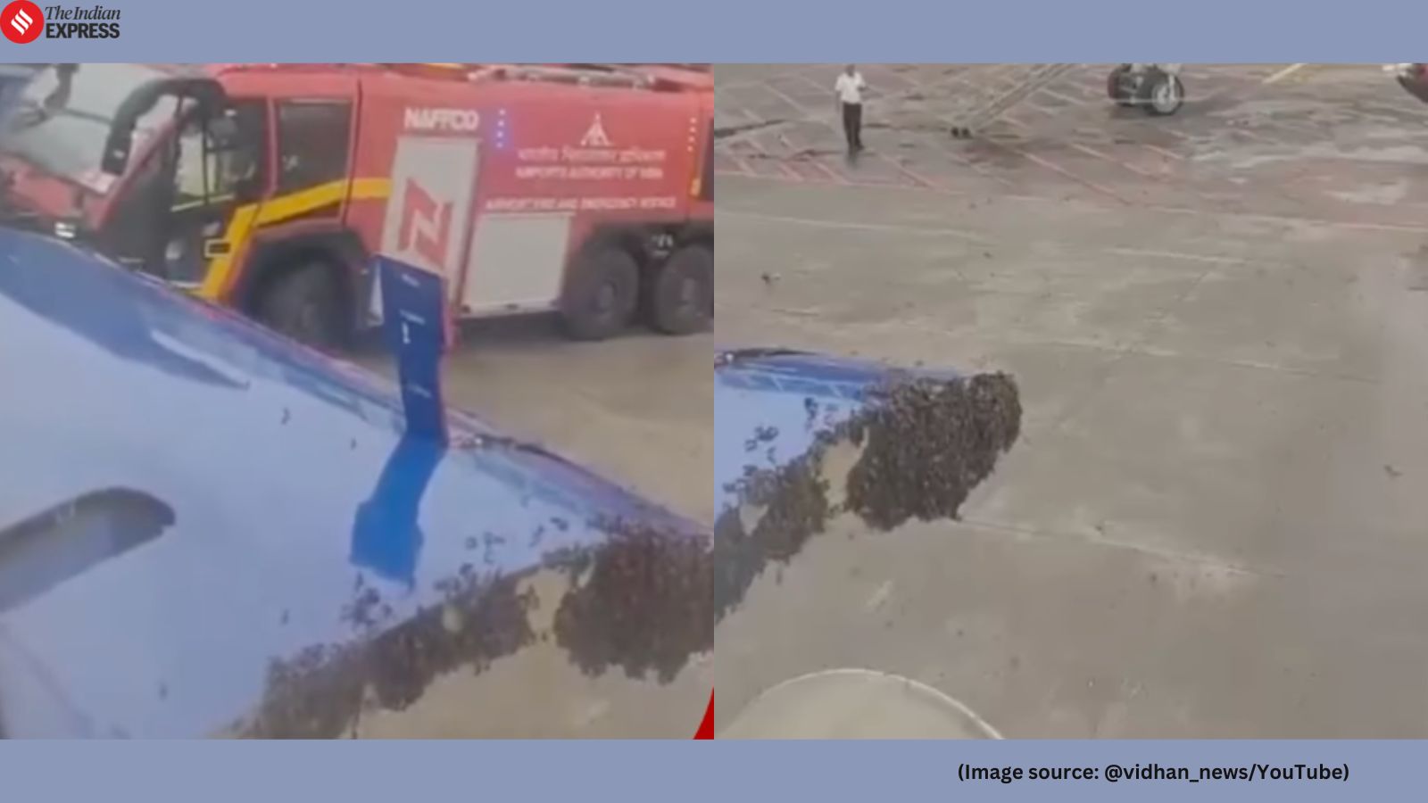 A fire engine arrived on the runway to remove the bees and clear the door (Image source: @vidhan_news/YouTube)
