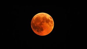 The buck moon will have a reddish-gold hue soon after it rises. (Representational image, image credit: Freepik)