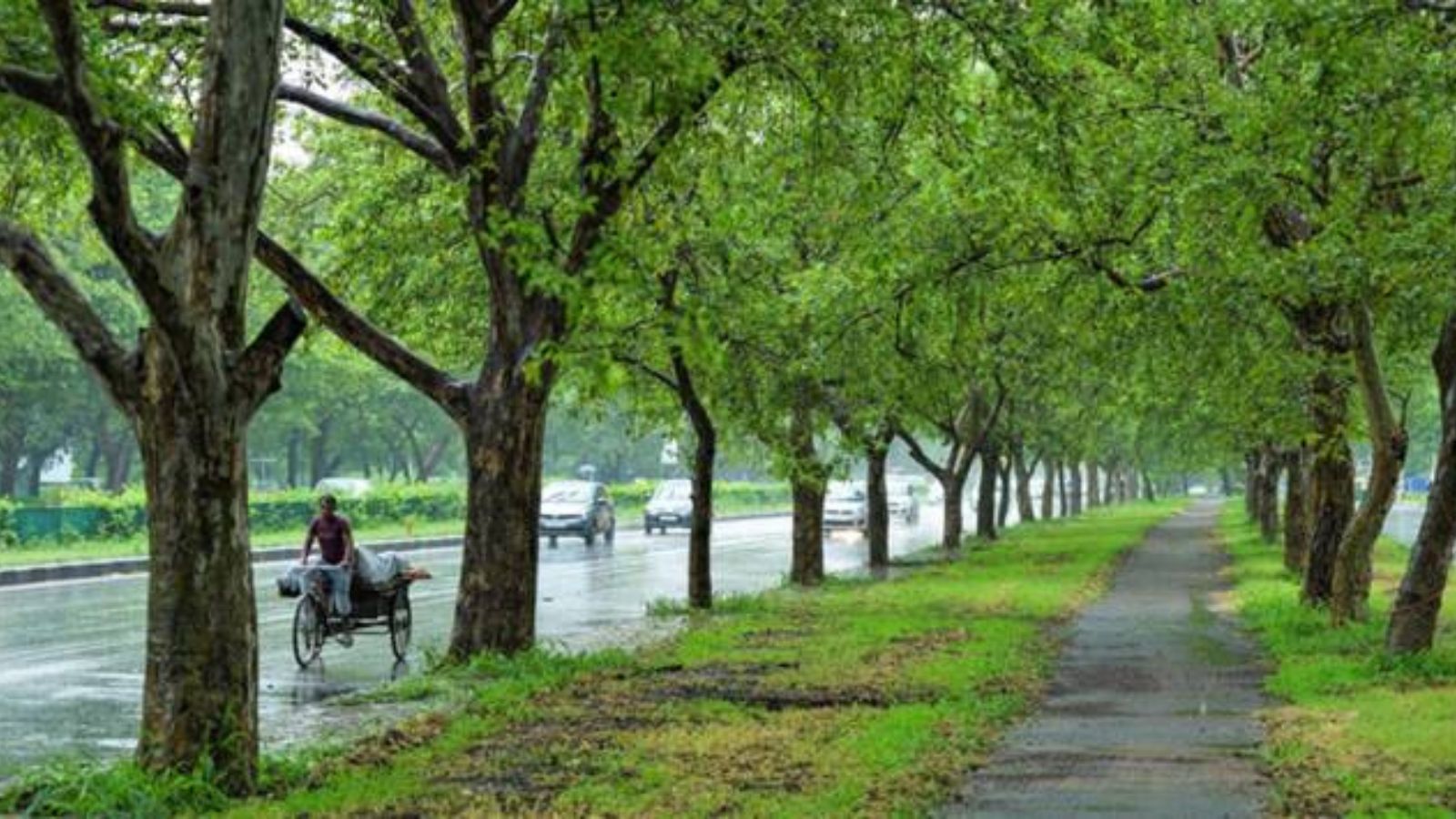Monsoon Rains Improve Air Quality in Tricity Region