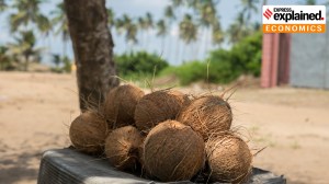 Three times the price of other cooking oils: Here’s why coconut oil is on fire