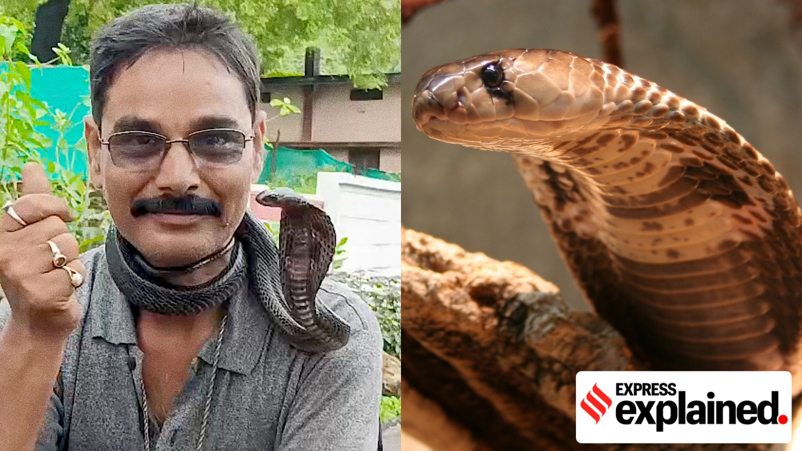 Deepak-Mahawar-cobra