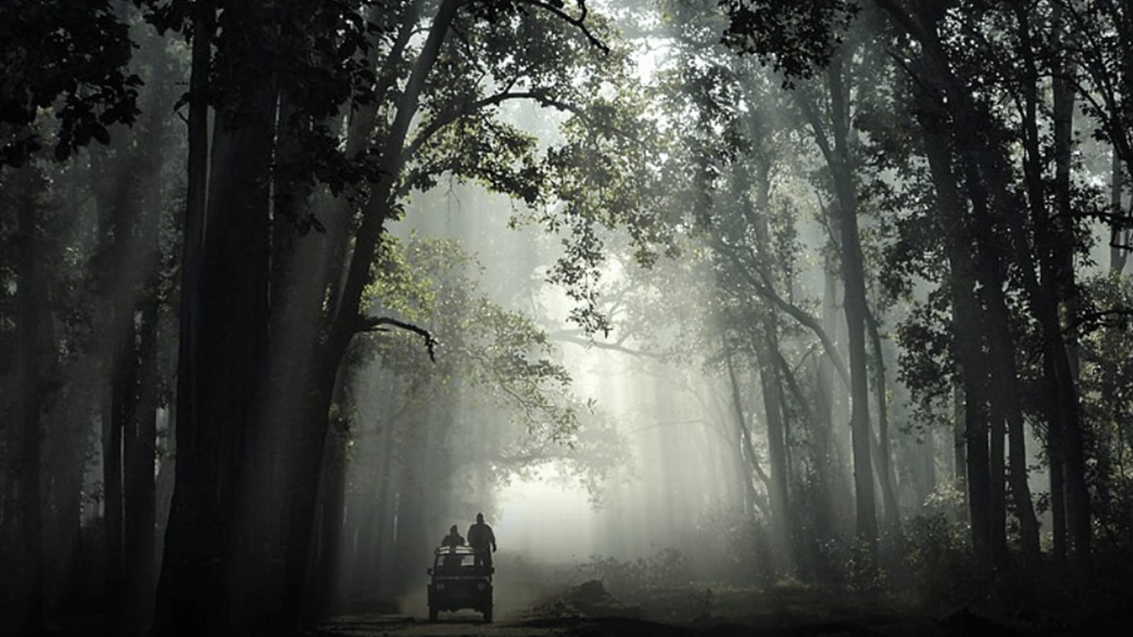 Ladakh to Arunachal, 30 Defence projects get wildlife panel nod