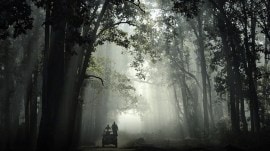 Ladakh to Arunachal, 30 Defence projects get wildlife panel nod