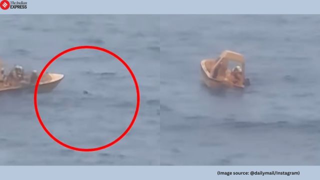 The report stated that the girl fell from a walking track on Deck 4, possibly while her father was taking her photo (Image source: @dailymail/Instagram)